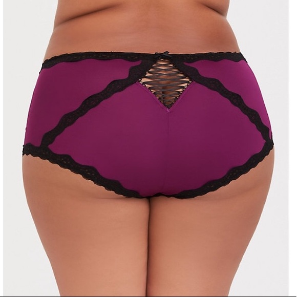 torrid Other - 🔴 TORRID Lace Microfiber Sexy Brief Panty 2 NWT